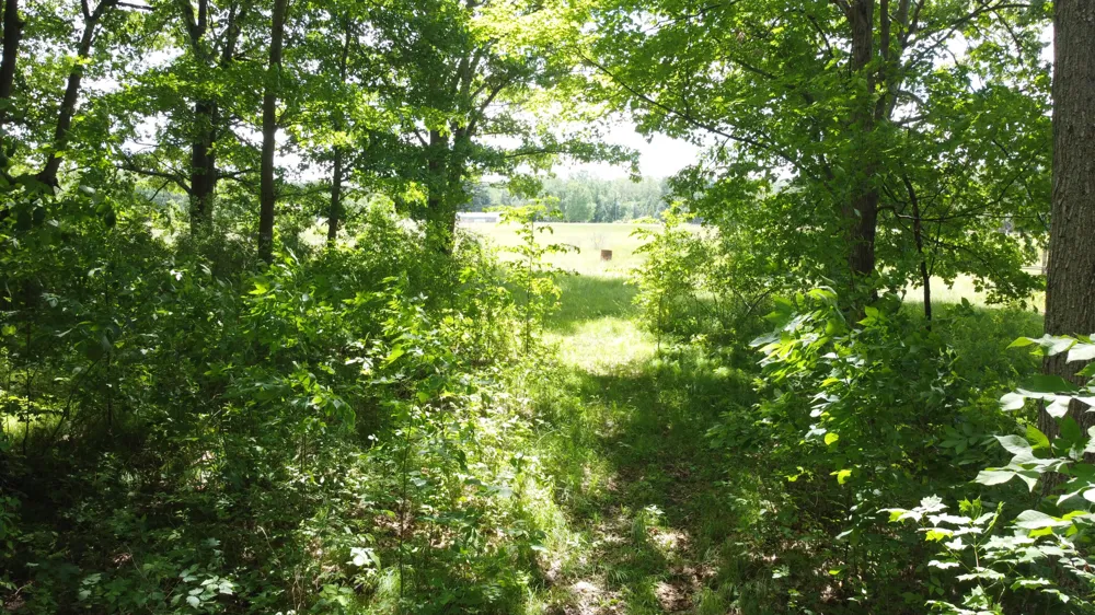 45th Ave Barryton, MI 49305