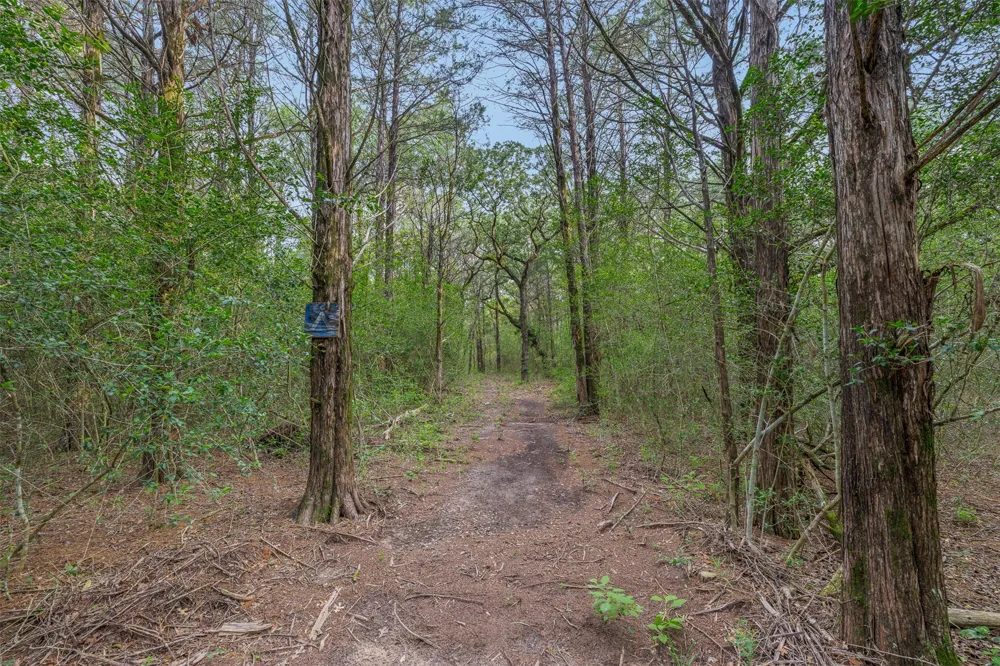 1218 County Road 436 Dime Box, TX 77853