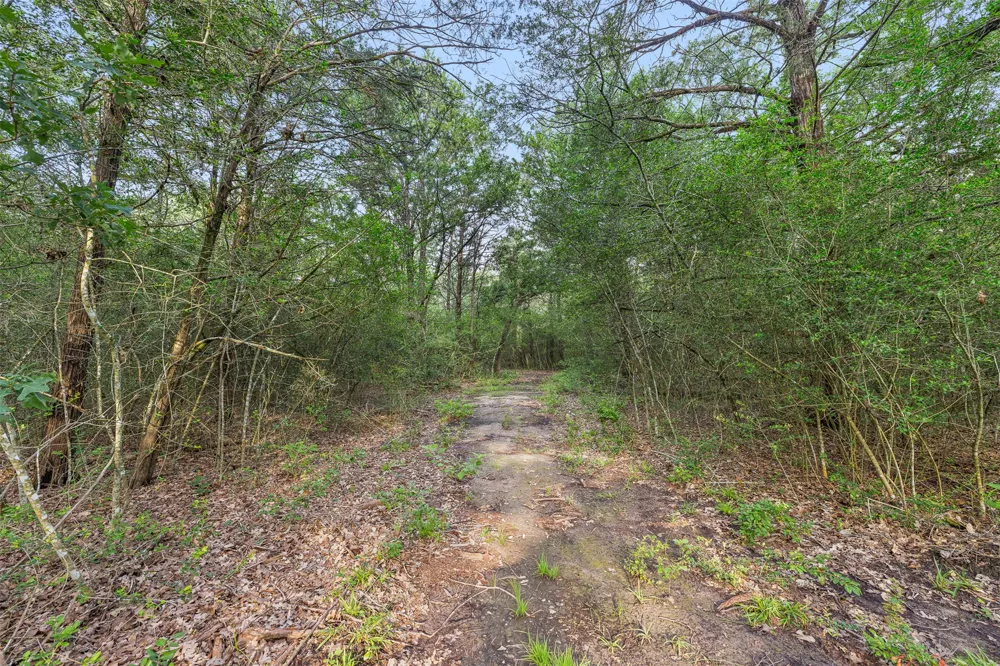 1218 County Road 436 Dime Box, TX 77853
