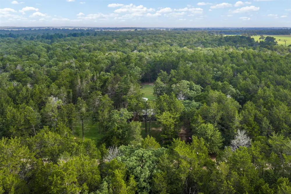 1218 County Road 436 Dime Box, TX 77853