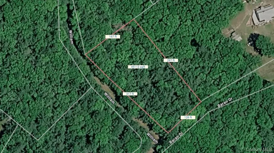 Lot 27 William Street Glen Spey, NY 12737