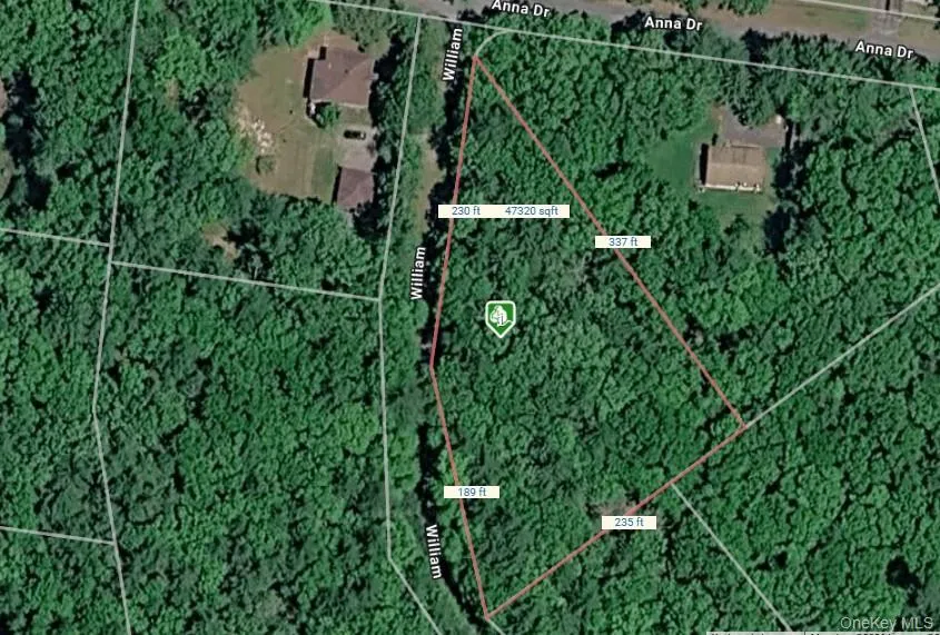 Lot 27 William Street Glen Spey, NY 12737
