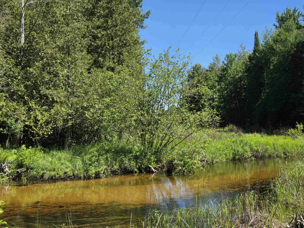 520 NE Old M-66 Kalkaska Township, MI 49646