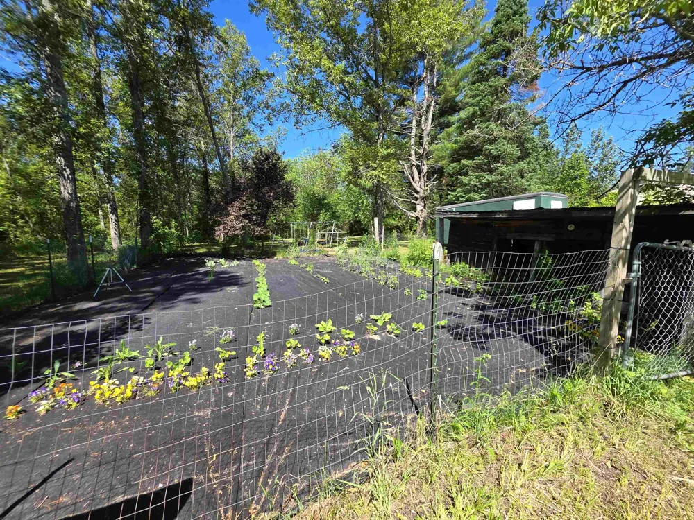 520 NE Old M-66 Kalkaska Township, MI 49646
