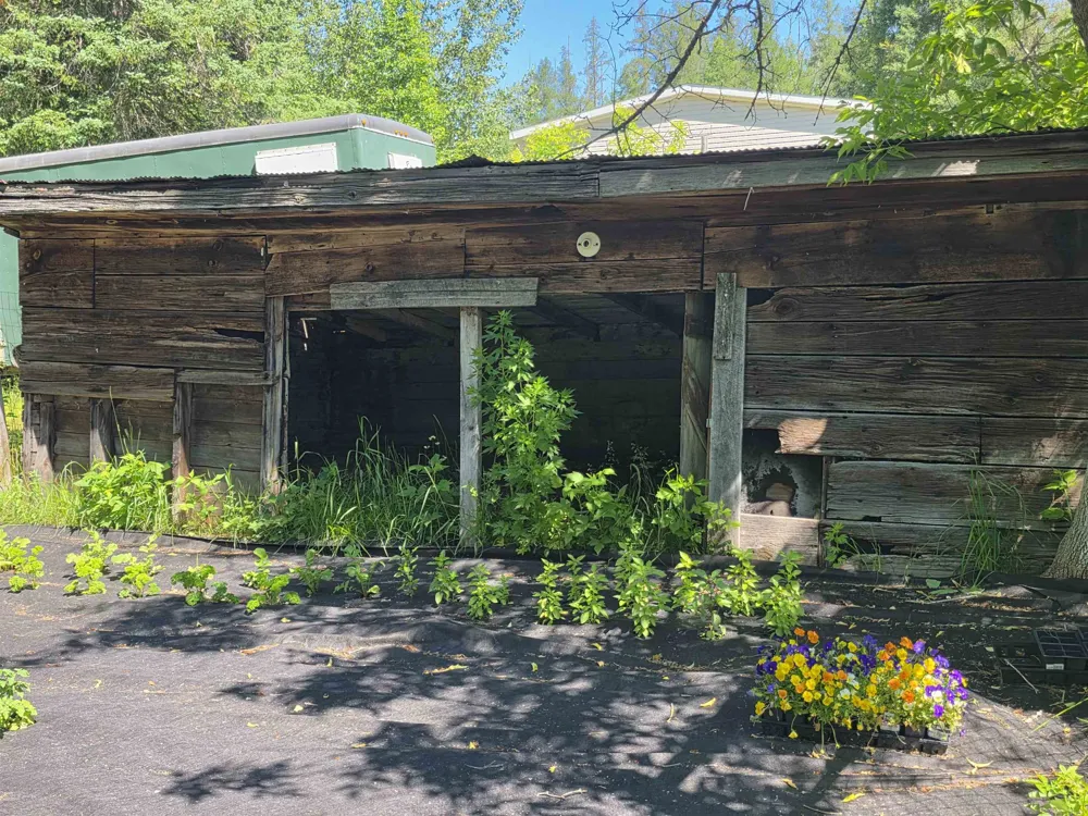 520 NE Old M-66 Kalkaska Township, MI 49646