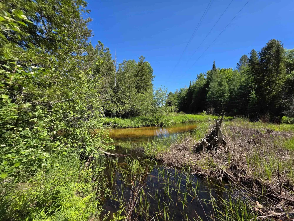 520 NE Old M-66 Kalkaska Township, MI 49646