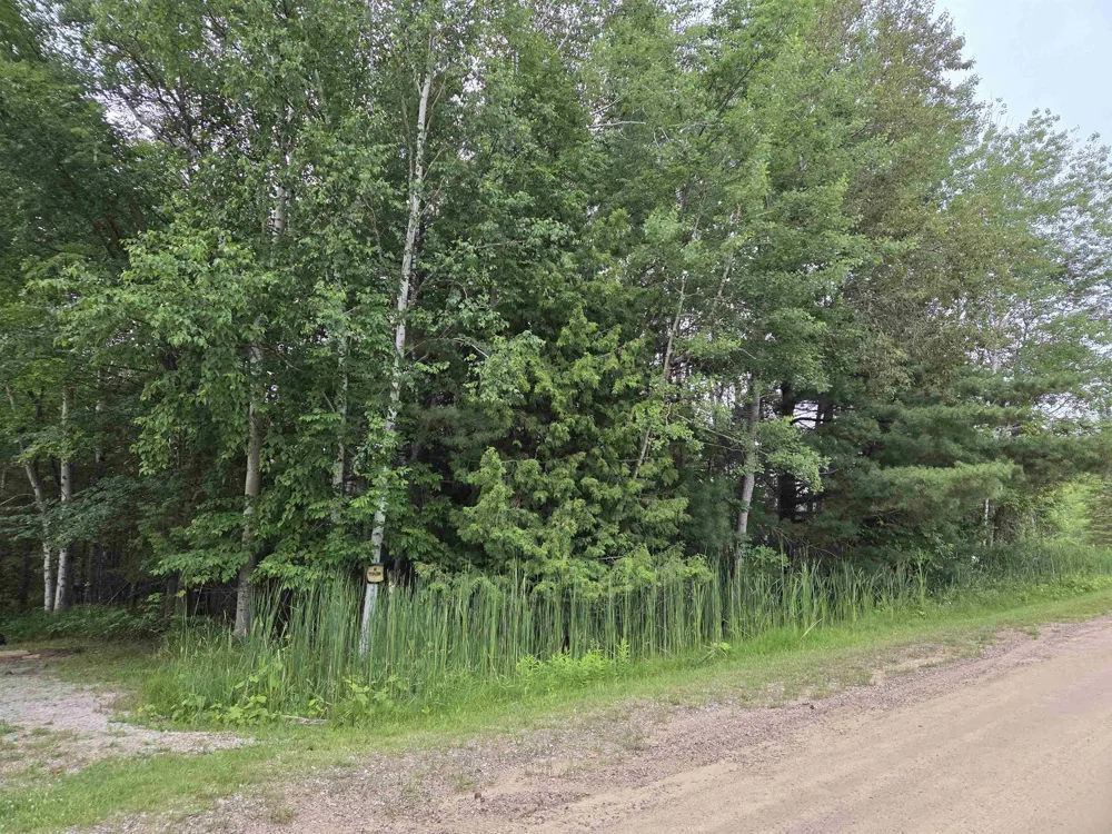 1601 Vanderlip Road East Bay Township, MI 49686