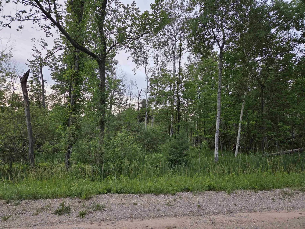 1601 Vanderlip Road East Bay Township, MI 49686