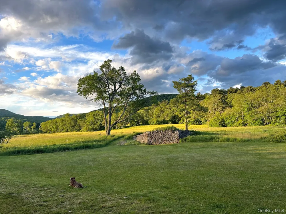 Address Not Shown Livingston Manor, NY 12758