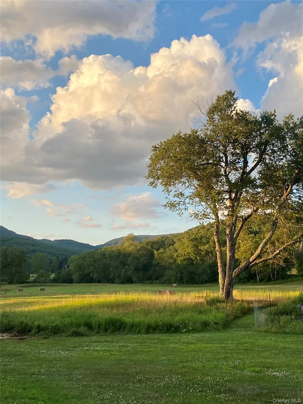 Address Not Shown Livingston Manor, NY 12758
