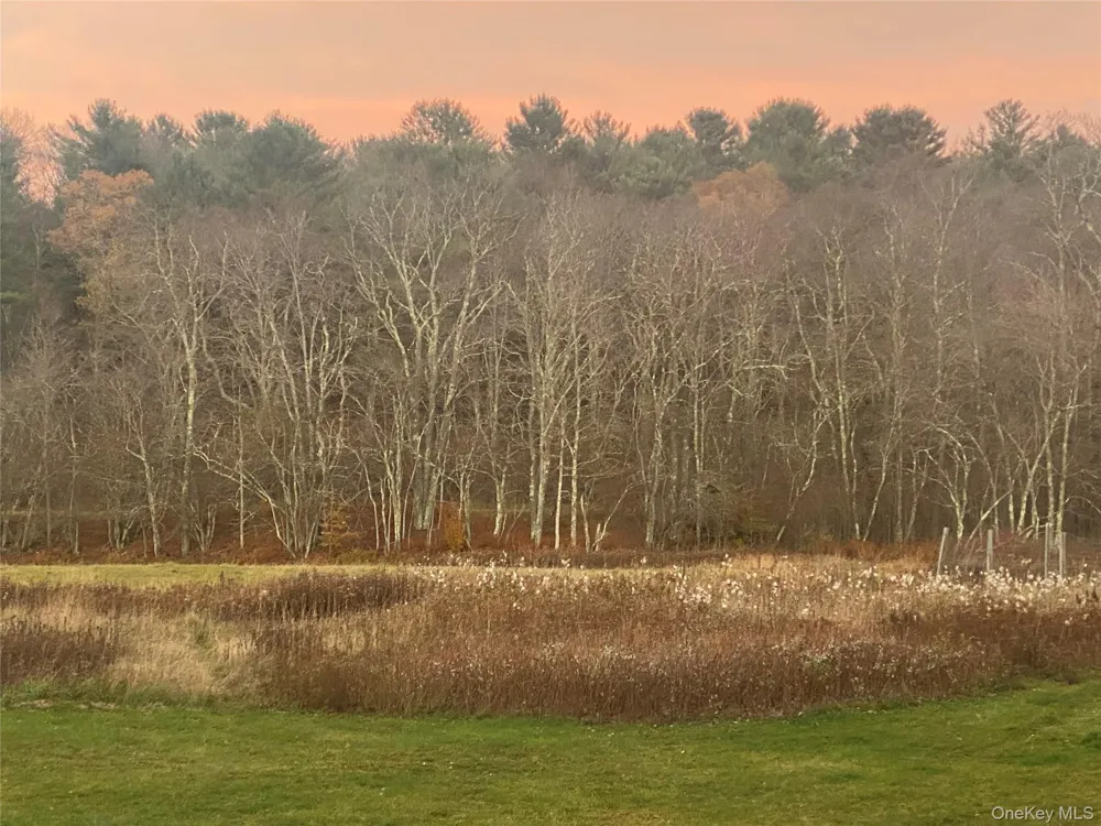 Address Not Shown Livingston Manor, NY 12758
