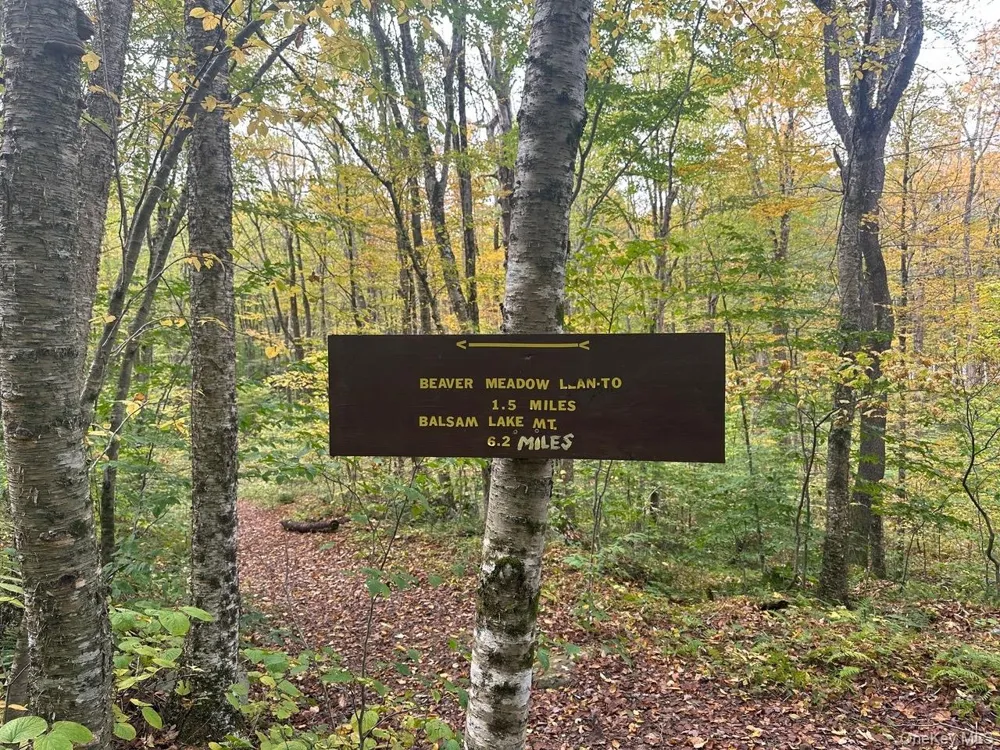 Address Not Shown Livingston Manor, NY 12758