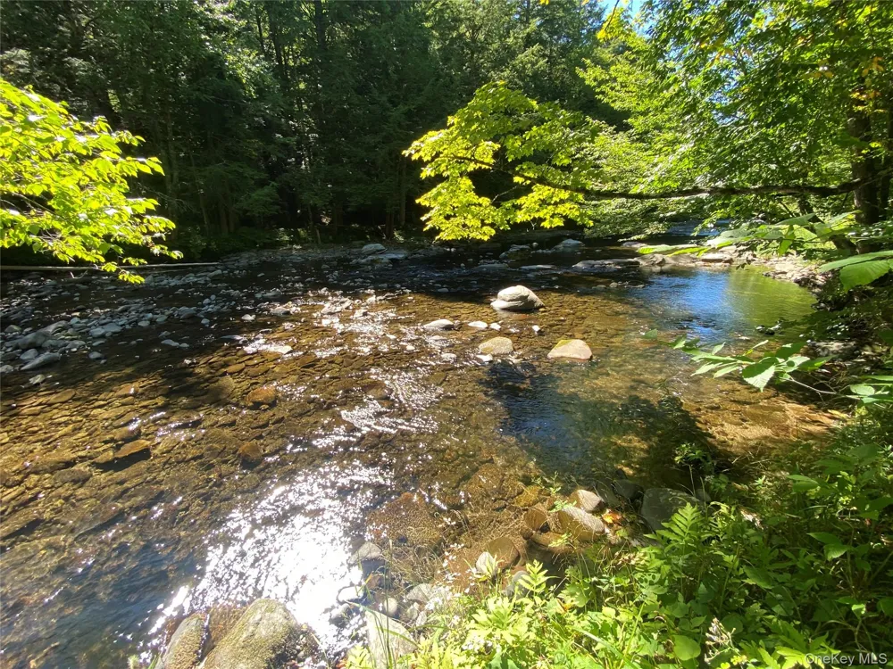 Address Not Shown Livingston Manor, NY 12758