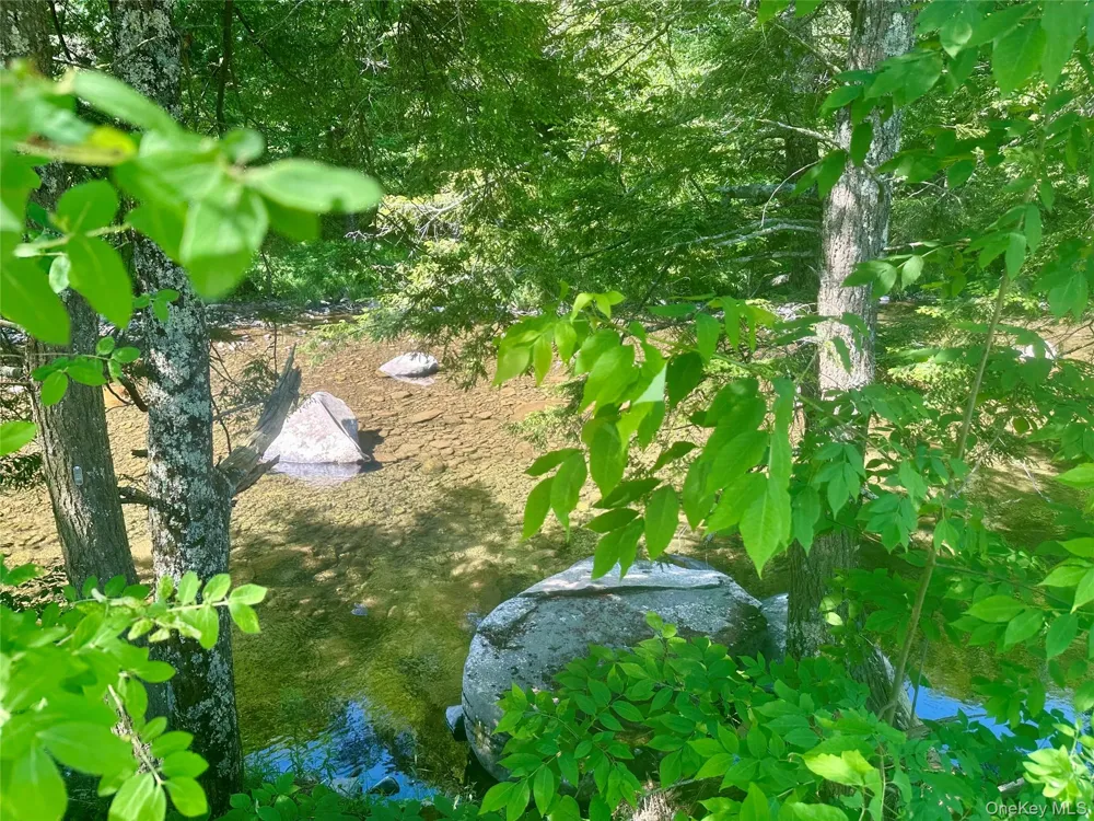 Address Not Shown Livingston Manor, NY 12758