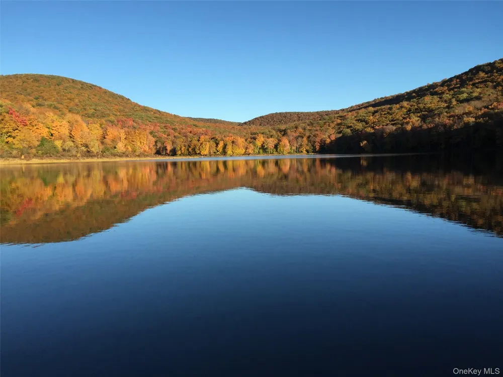Address Not Shown Livingston Manor, NY 12758