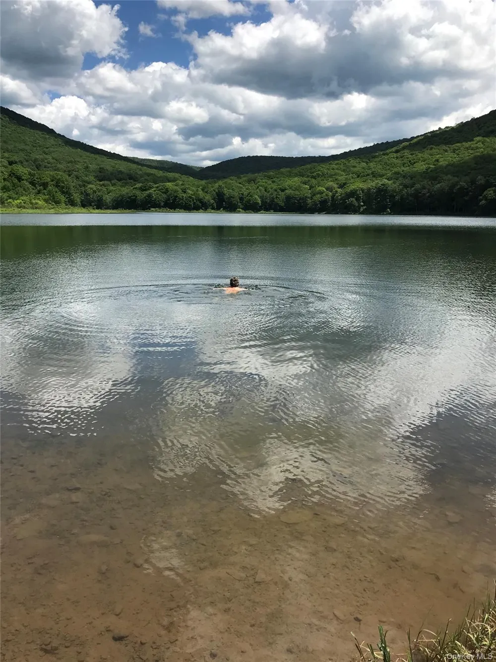 Address Not Shown Livingston Manor, NY 12758