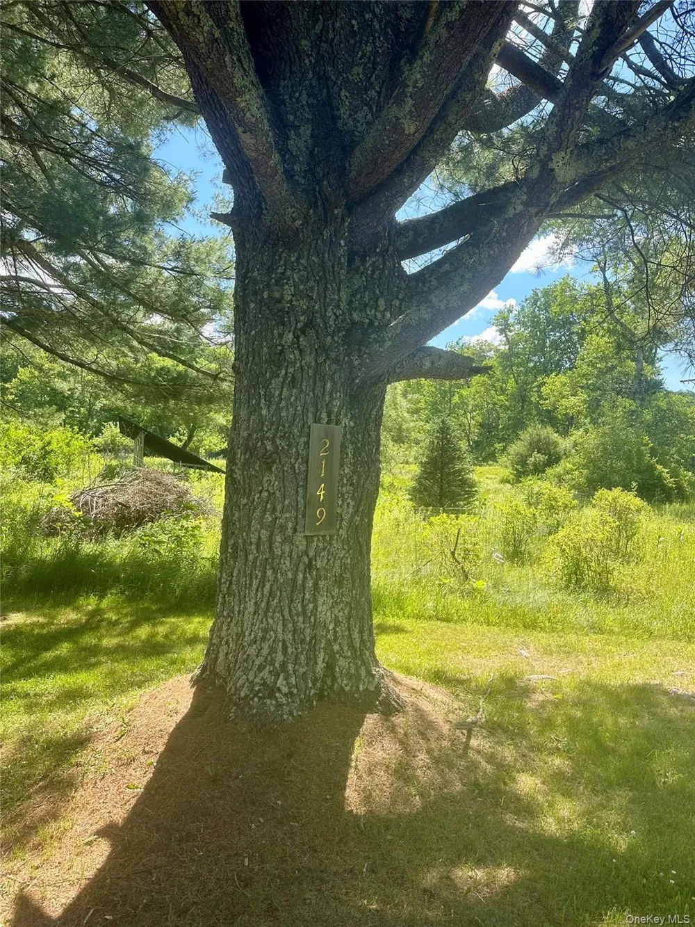 Address Not Shown Livingston Manor, NY 12758