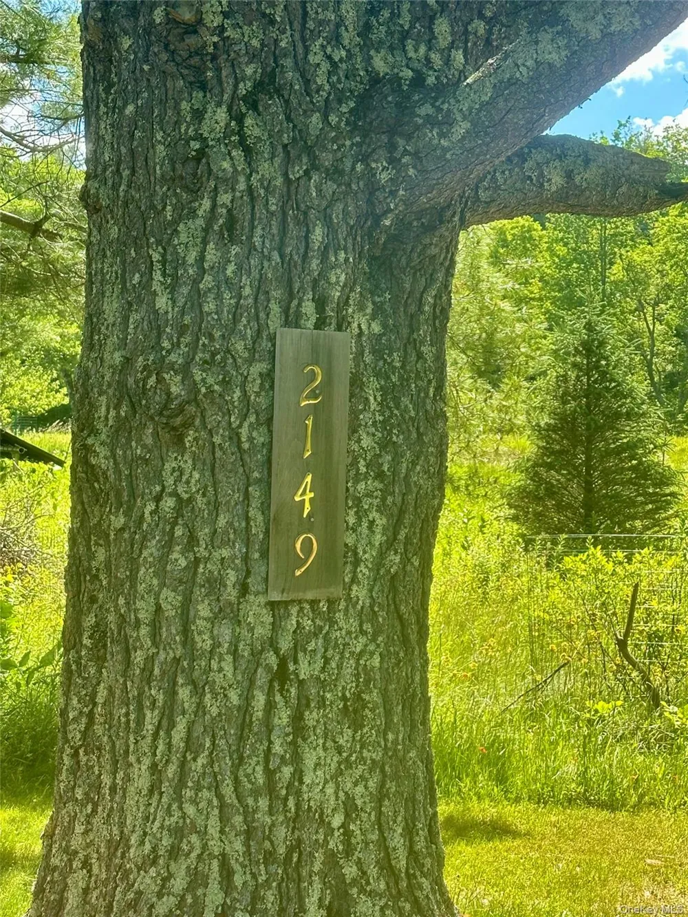 Address Not Shown Livingston Manor, NY 12758