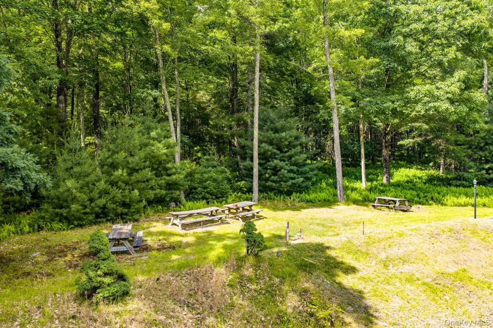 17 Collins Road Eldred, NY 12732