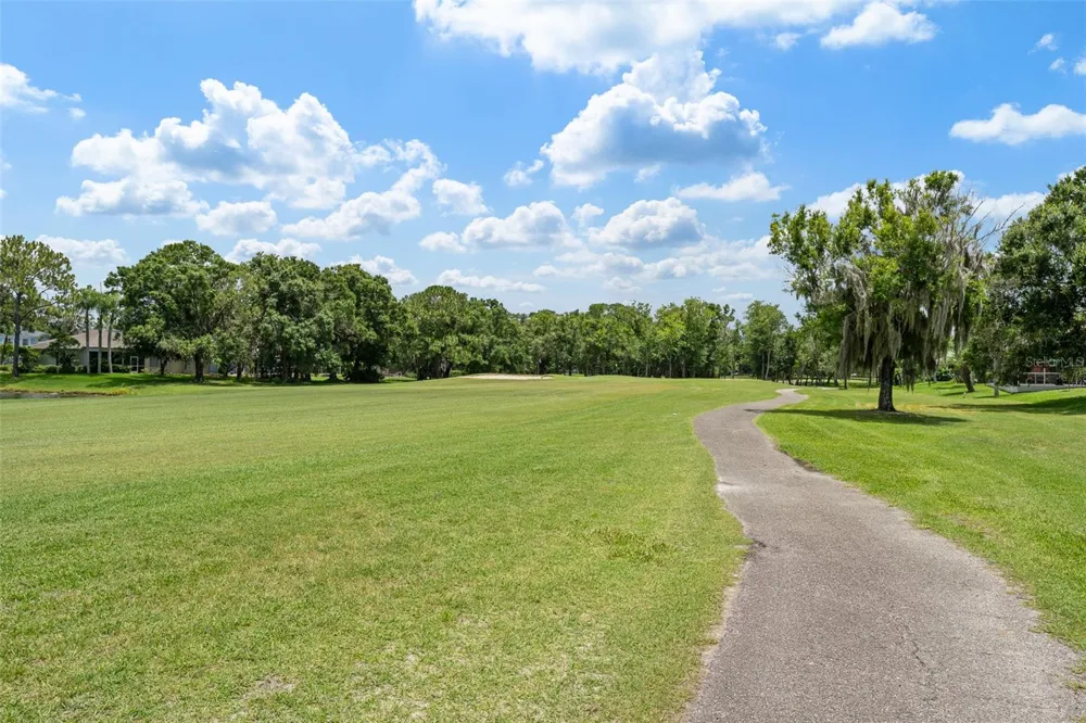 15615 SHOAL CREEK PLACE Odessa, FL 33556