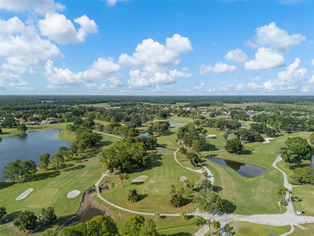 15615 SHOAL CREEK PLACE Odessa, FL 33556