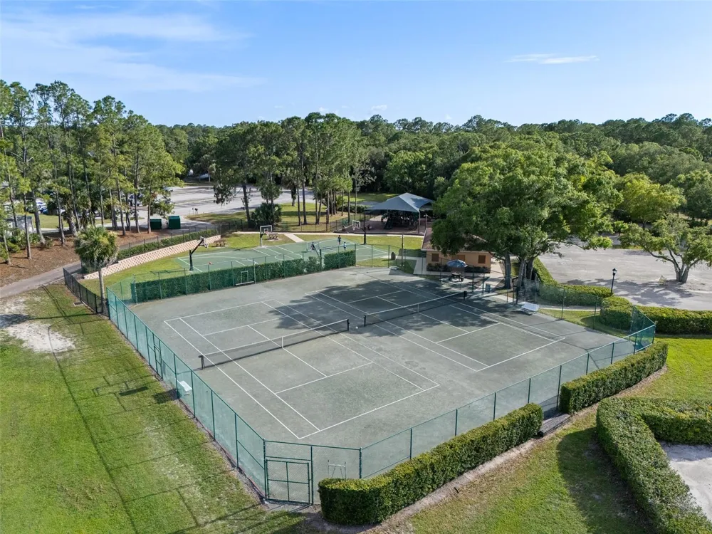 15615 SHOAL CREEK PLACE Odessa, FL 33556