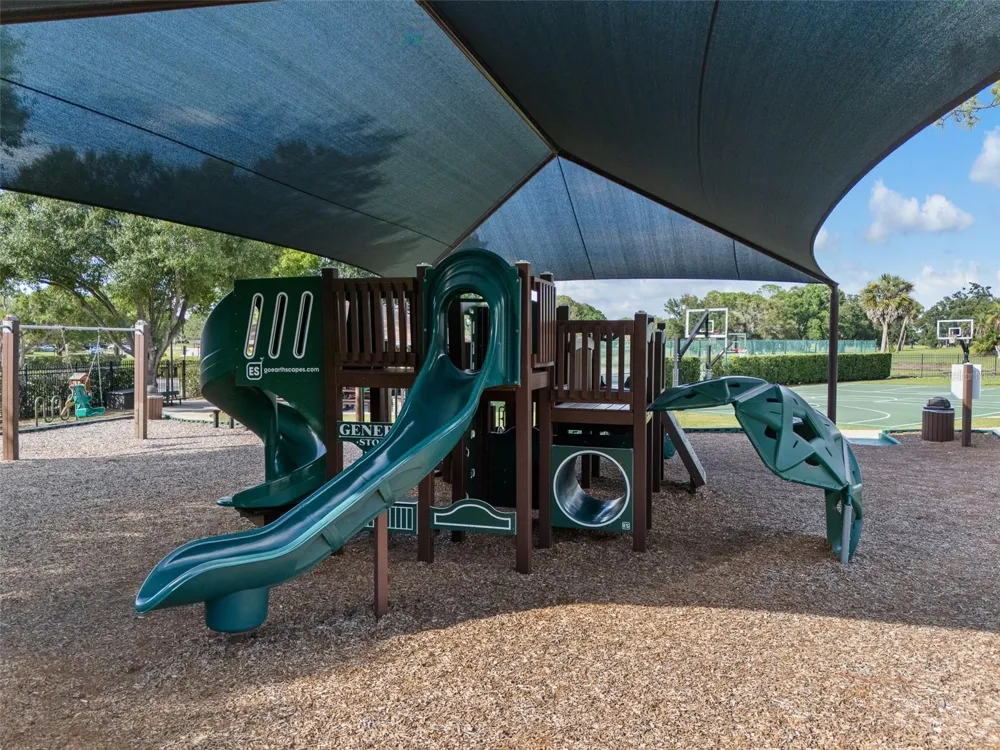 15615 SHOAL CREEK PLACE Odessa, FL 33556