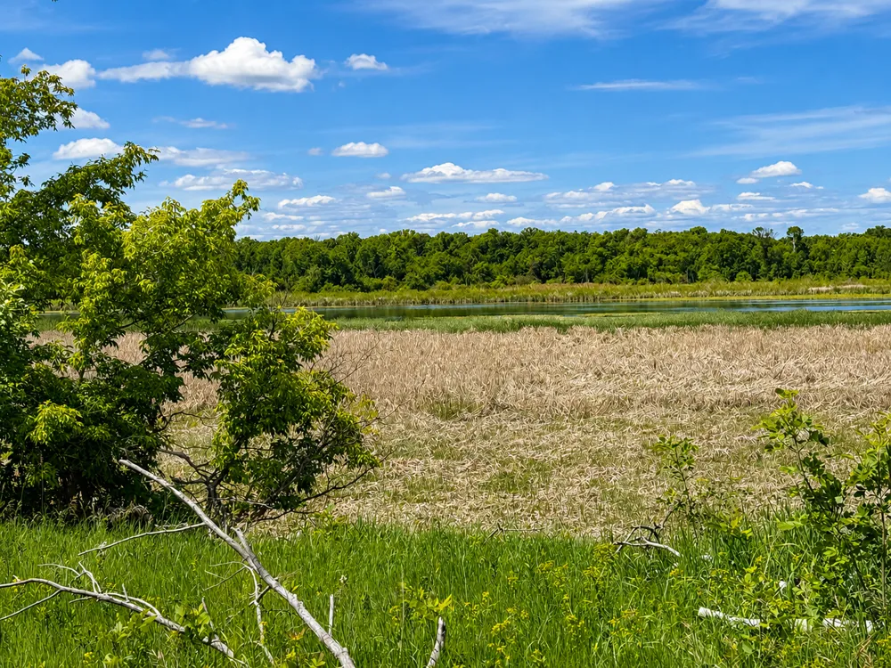 TBD Co Hwy 1 Battle Lake, MN 56515