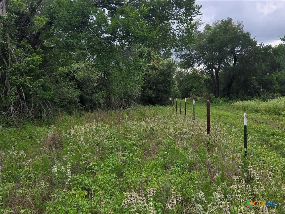 2631 C R 302 Rockdale, TX 76567