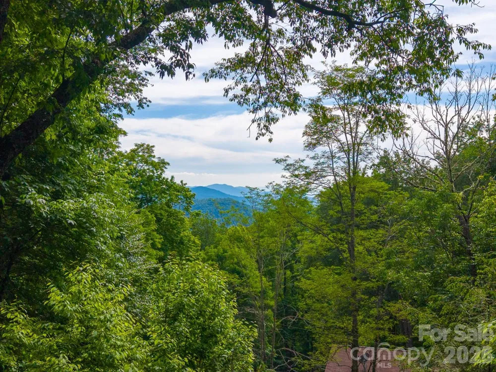 903 Plott Balsam Road Maggie Valley, NC 28751