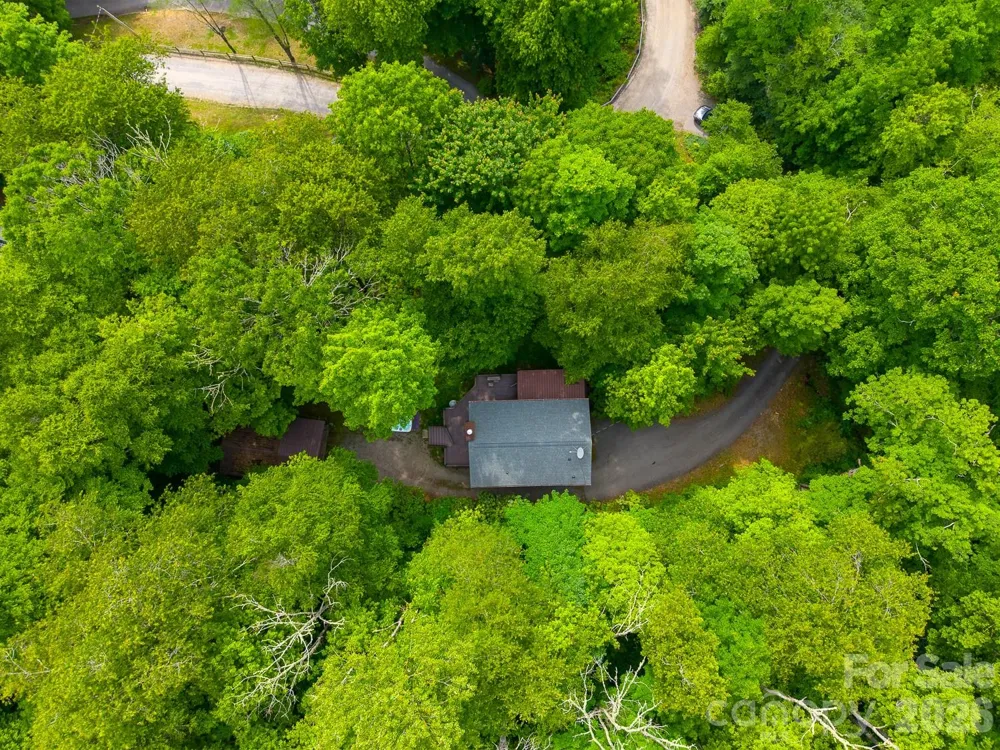903 Plott Balsam Road Maggie Valley, NC 28751