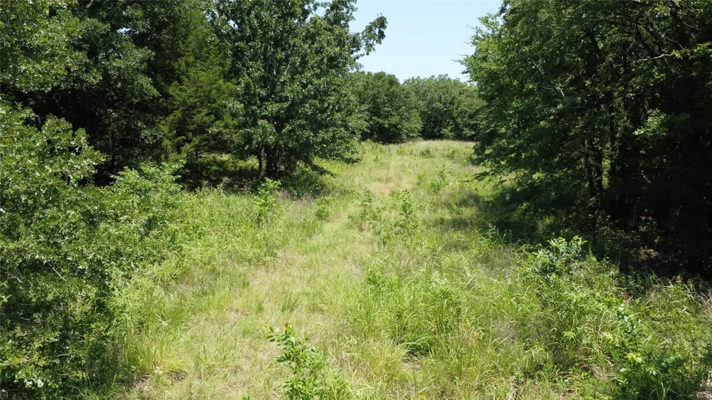 527 Copperas Road Whitesboro, TX 76264