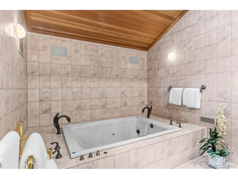 204 Clover Lane Dillon, CO 80435