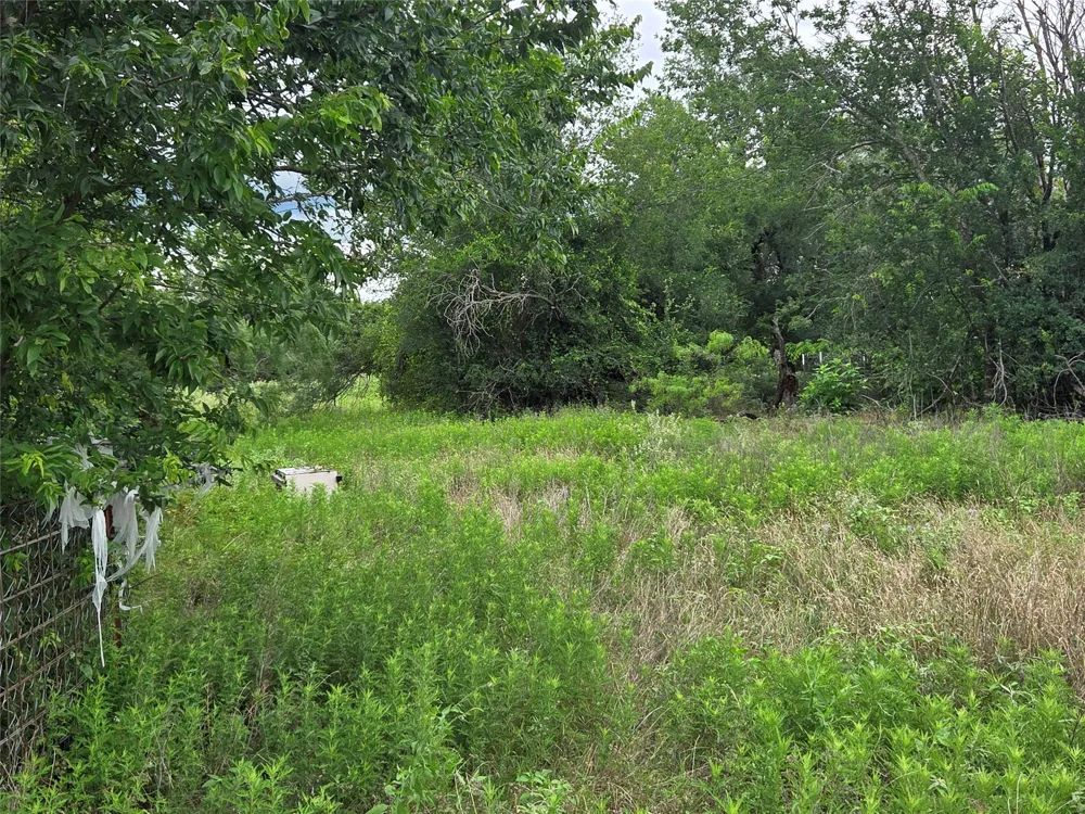 3165 CR 302 Rockdale, TX 76567