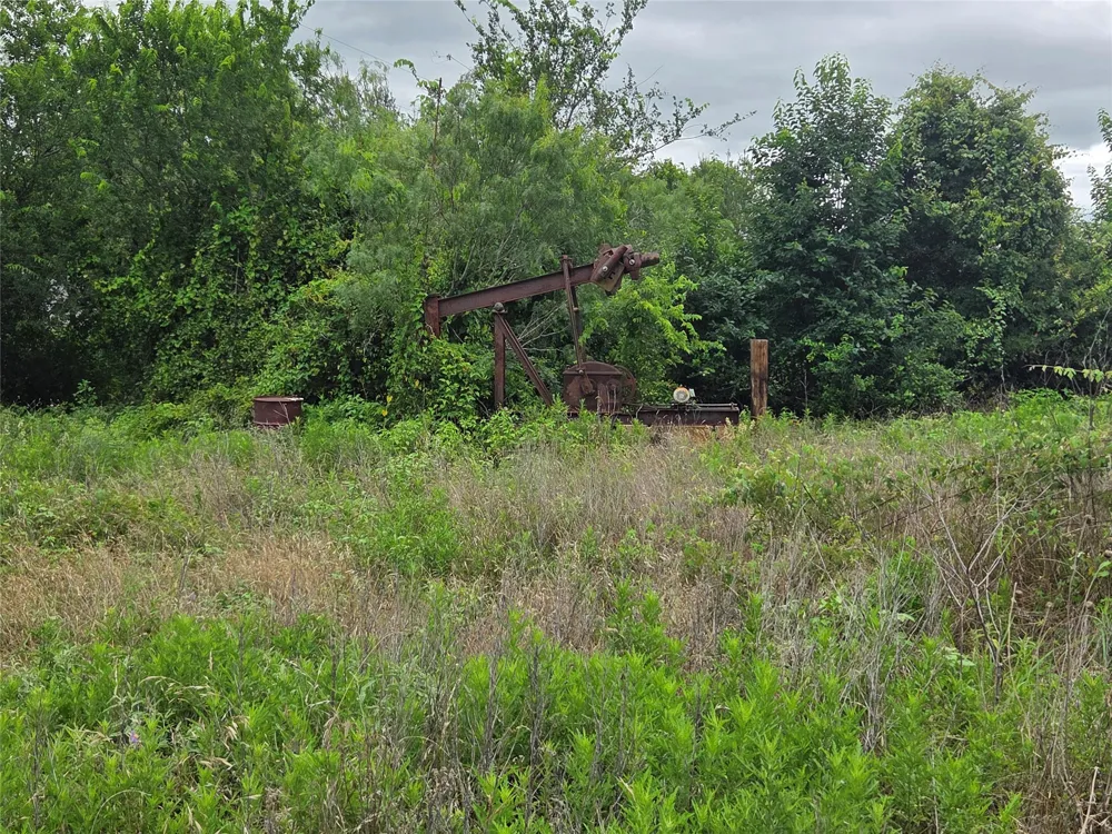 3165 CR 302 Rockdale, TX 76567