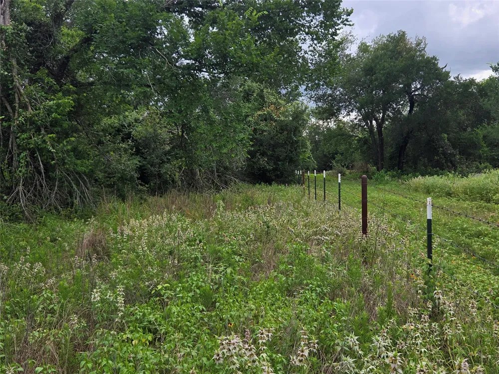 3165 CR 302 Rockdale, TX 76567