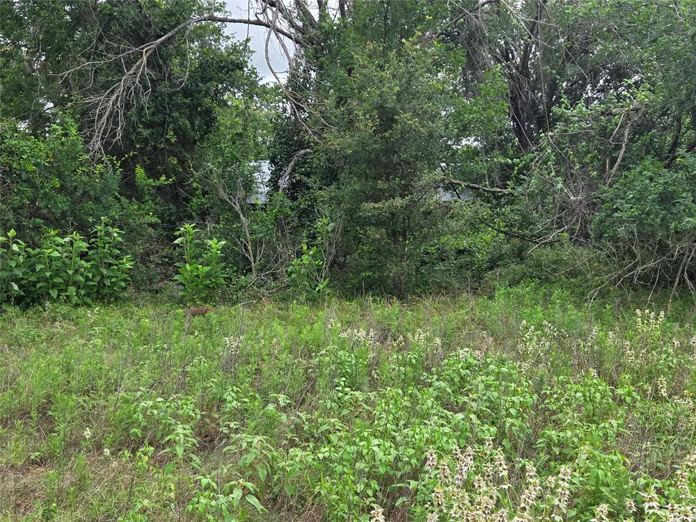 3165 CR 302 Rockdale, TX 76567