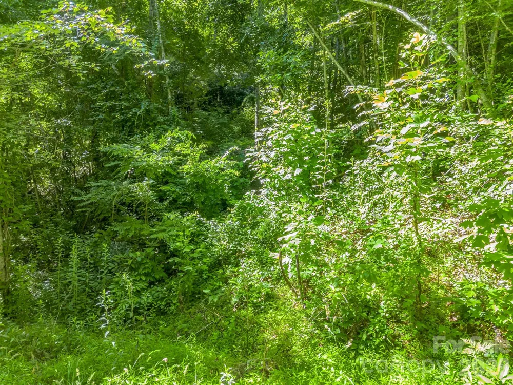 0 Vineyard Hill Drive Fletcher, NC 28732