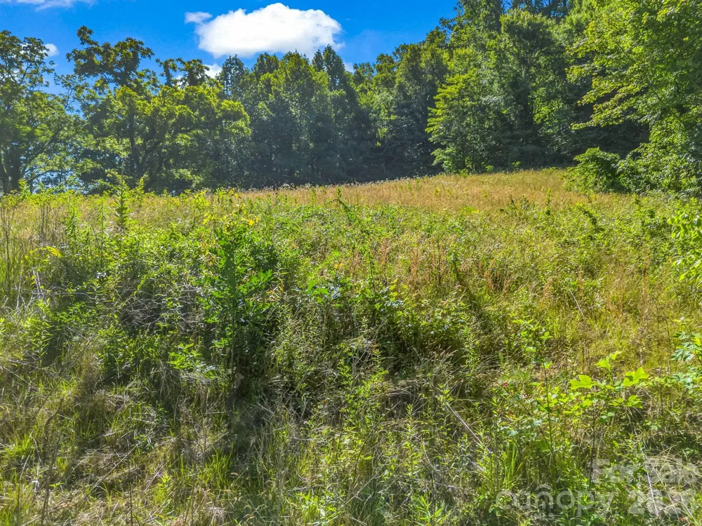 0 Vineyard Hill Drive Fletcher, NC 28732