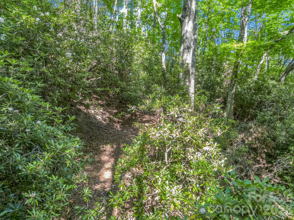 0 Vineyard Hill Drive Fletcher, NC 28732
