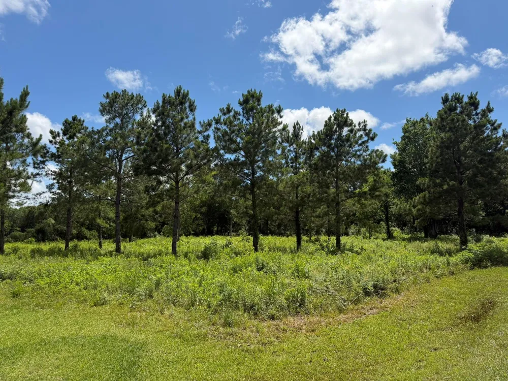 Tranquil Trace St Algoa, TX 77511
