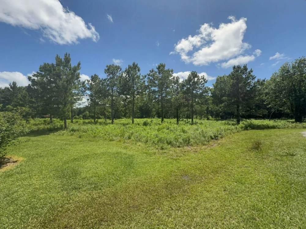 Tranquil Trace St Algoa, TX 77511