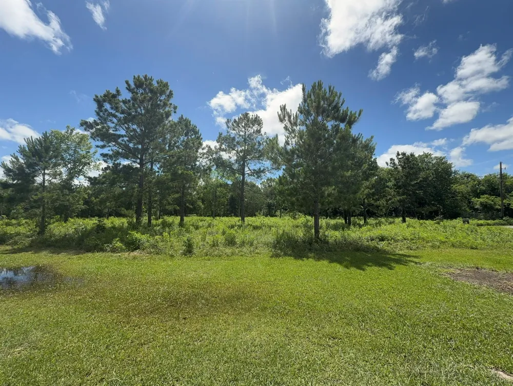 Tranquil Trace St Algoa, TX 77511