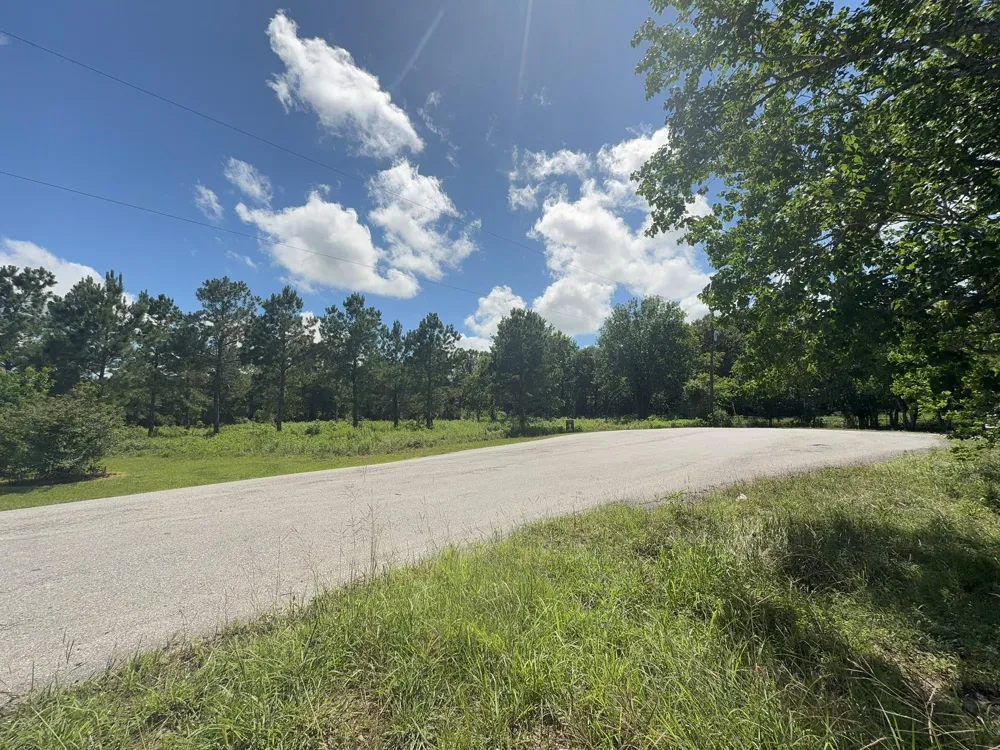 Tranquil Trace St Algoa, TX 77511
