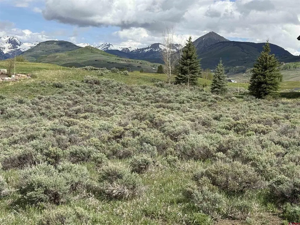 331 Eagle Lane Crested Butte, CO 81224