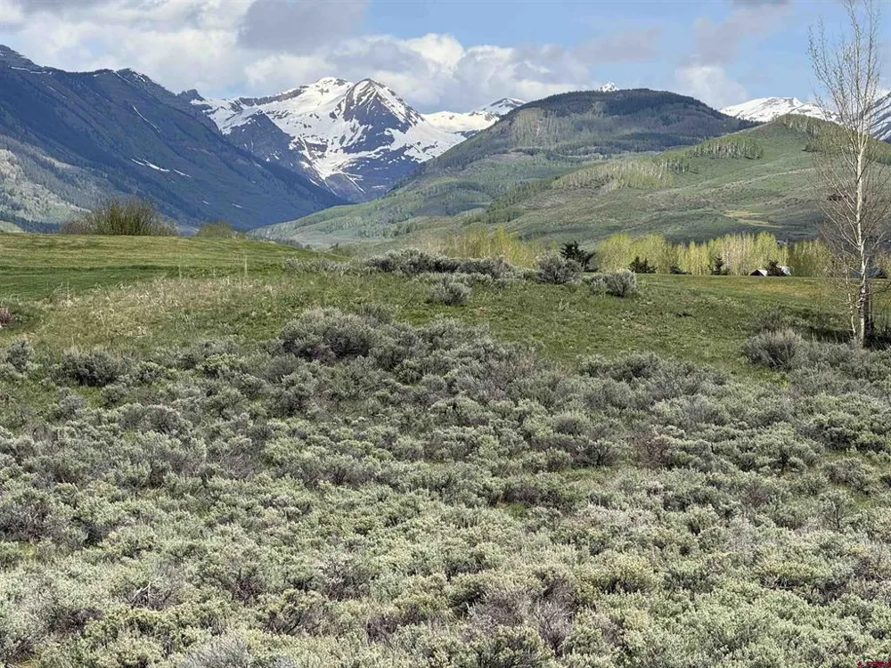 331 Eagle Lane Crested Butte, CO 81224
