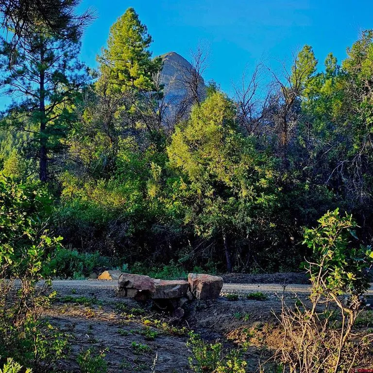 23 Cottonwood Drive Pagosa Springs, CO 81147