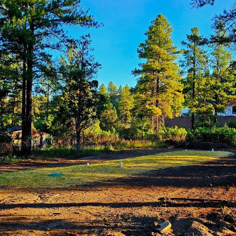23 Cottonwood Drive Pagosa Springs, CO 81147