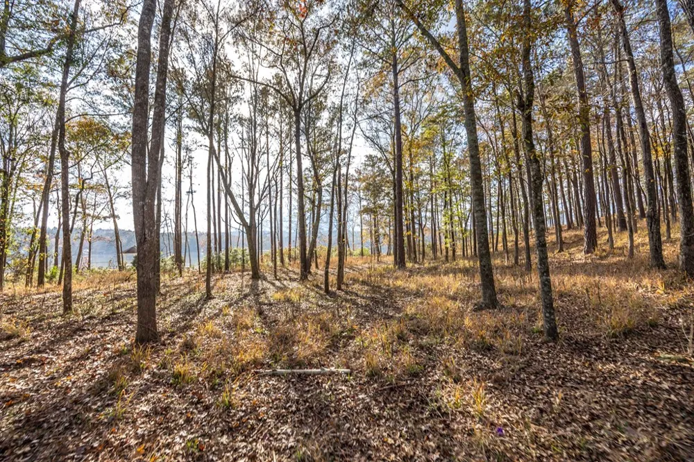 7600 Rolling Bend Road Columbus, GA 31904
