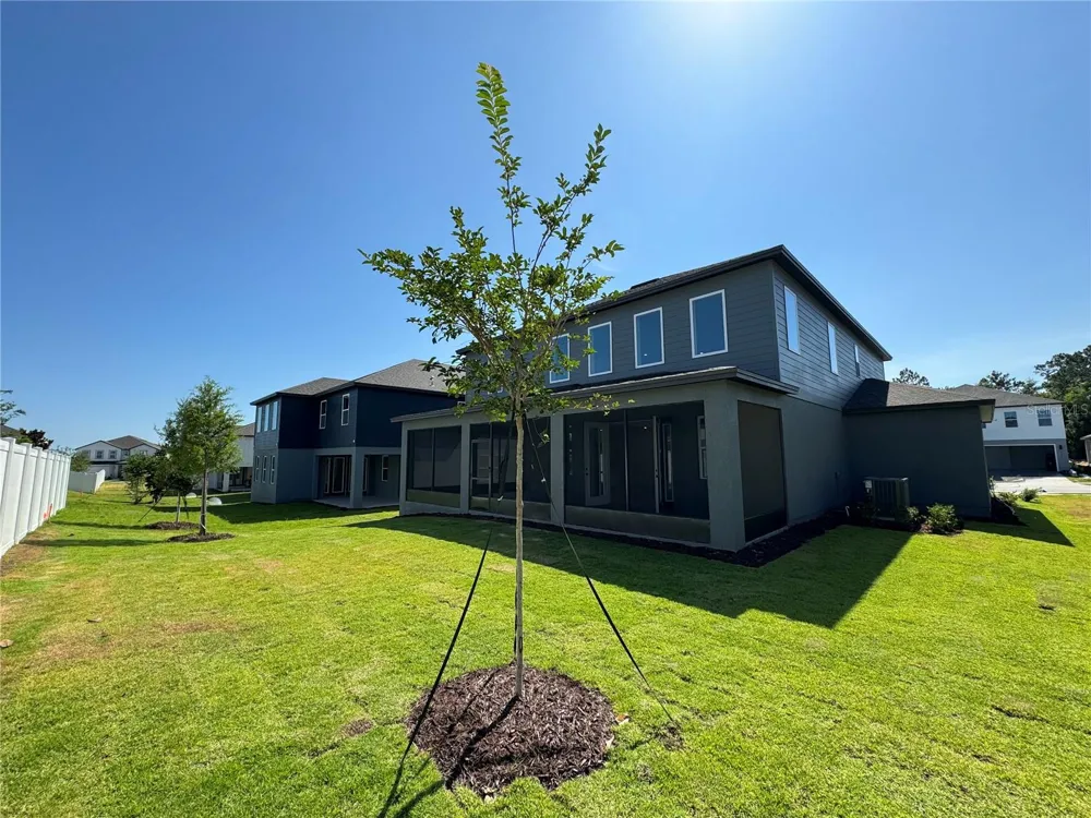 2193 GOLD DUST DRIVE Minneola, FL 34715